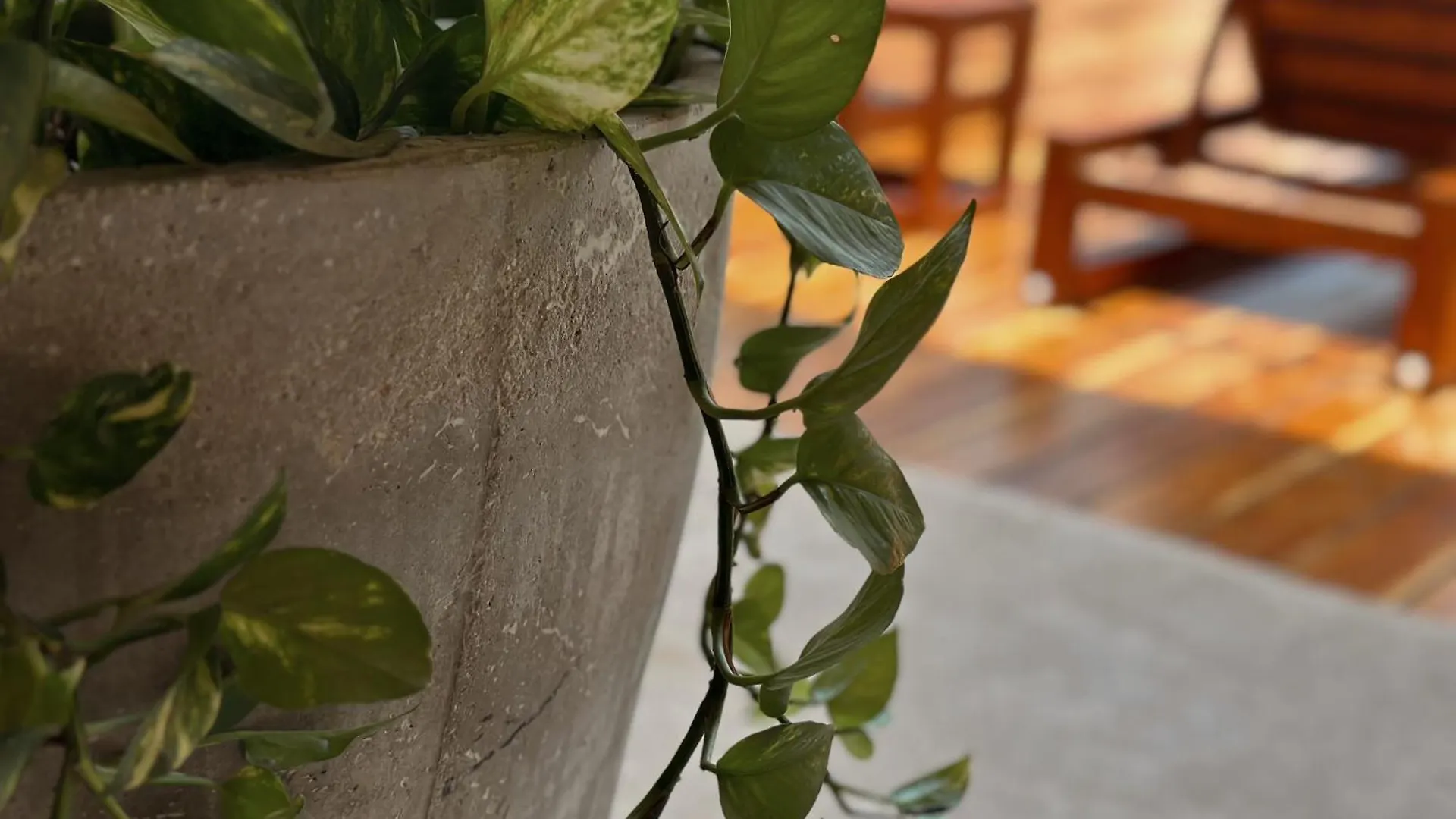 Ophelia Tulum Condo In Aldea Zama Apart-hotel