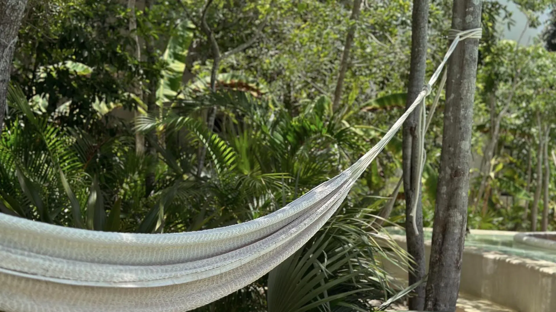 Ophelia Tulum Condo In Aldea Zama 0*,  Mexico